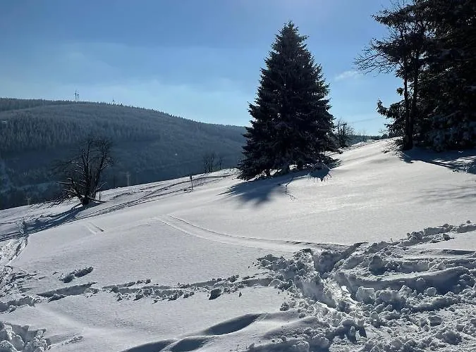 Апартаменты Laas