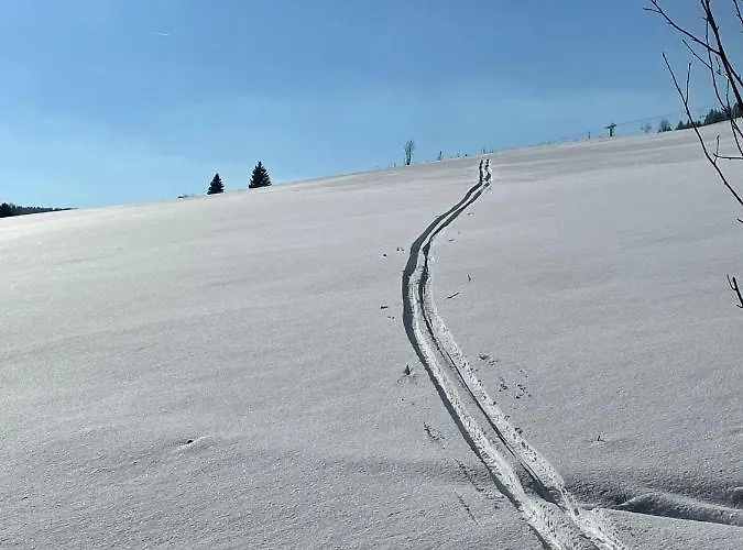 Апартаменты Laas *