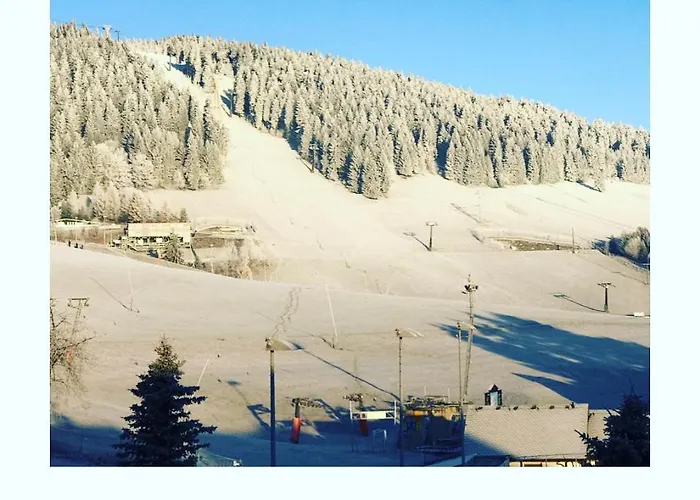 Апартаменты Laas *